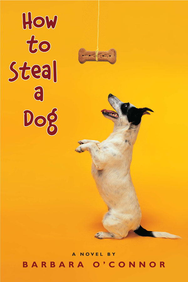 How To Steal A Dog Cover Book Cover